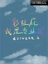 《巅峰之战》小说封面