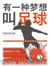 《有一种梦想叫足球》小说封面