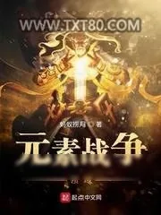 《文明之战》小说封面