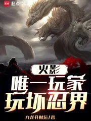 《火影：唯一玩家，玩坏忍界》小说封面