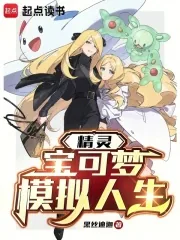 《精灵：宝可梦模拟人生》小说封面