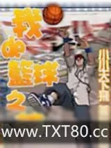 《我的篮球之梦》小说封面