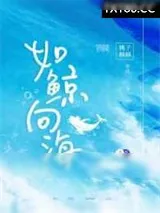 《如鲸向海》小说封面