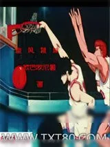 《旋风篮球》小说封面