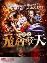 《网游之龙盾孽天》小说封面