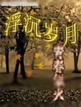 《浮沉岁月》小说封面
