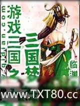 《游戏三国之三国梦想》小说封面