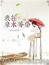 《我在泉水等你》小说封面