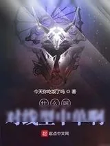 《什么叫对线型中单啊》小说封面