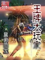 《王牌大玩家》小说封面