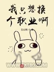 《我只想换个职业啊》小说封面