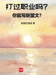 《打过职业吗？你就写联盟文？》小说封面