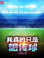 《我真的只是想传球》小说封面