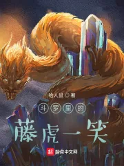 《斗罗里的藤虎一笑》小说封面