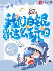 《我们白银都是这么玩的》小说封面