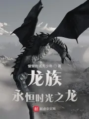 《龙族：永恒时光之龙》小说封面