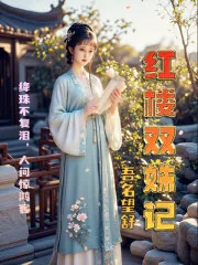《红楼双姝记》小说封面