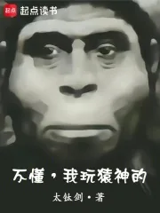 《不懂,我玩猿神的》小说封面