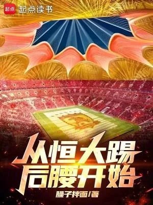 《从恒大踢后腰开始》小说封面