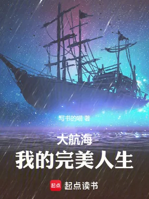 《大航海：我的完美人生》小说封面