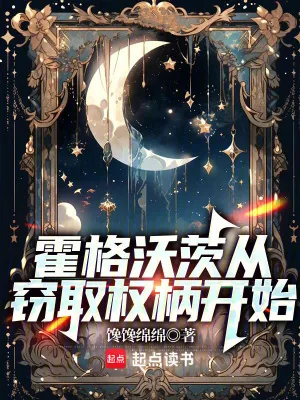 《霍格沃茨从窃取权柄开始》小说封面