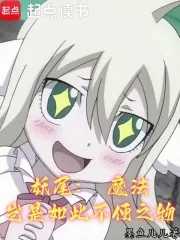 《妖尾：魔法岂是如此不便之物》小说封面