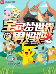 《宝可梦世界的男妈妈》小说封面