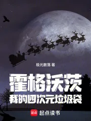《霍格沃茨：我的四次元垃圾袋》小说封面