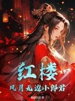 《红楼：风月无边小郎君》小说封面
