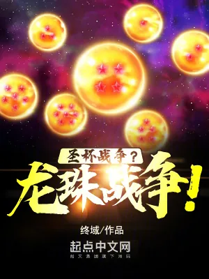 《圣杯战争？龙珠战争！》小说封面