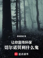 《让你宣传环保，切尔诺贝利什么鬼》小说封面