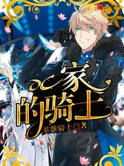 《DC家的骑士》小说封面