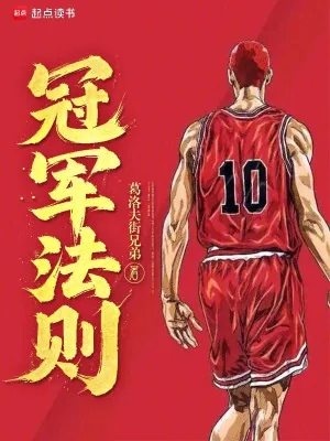 《冠军法则》小说封面