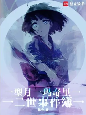 《型月：玛奇里二世事件簿》小说封面