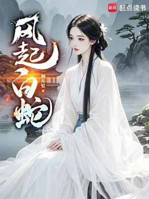 《风起白蛇》小说封面