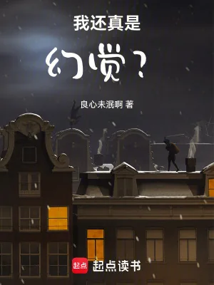 《我还真是幻觉？》小说封面