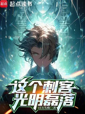 《这个刺客光明磊落》小说封面