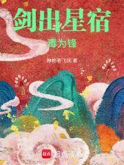 《剑出星宿毒为锋》小说封面