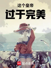 《这个皇帝过于完美》小说封面