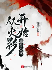 《从火影开始做幕后黑手》小说封面