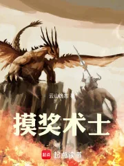 《摸奖术士》小说封面