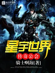 《星宇世界传奇公会》小说封面