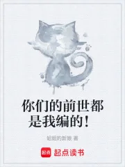 《你们的前世都是我编的！》小说封面