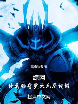 《综网：终焉的守望之无尽词缀》小说封面