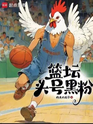 《篮坛头号黑粉》小说封面