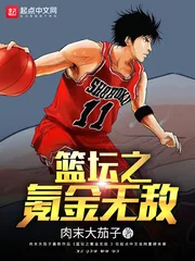 《篮坛之氪金无敌》小说封面