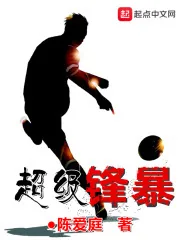 《超级锋暴》小说封面
