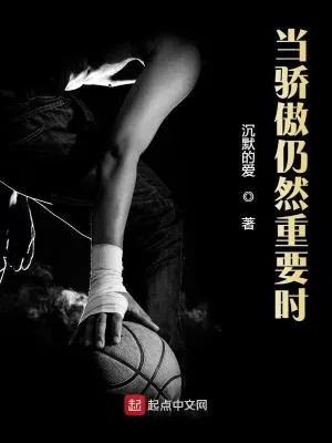 《当骄傲仍然重要时》小说封面