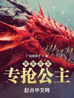 《我是恶龙，专抢公主》小说封面
