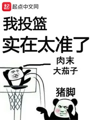 《我投篮实在太准了》小说封面